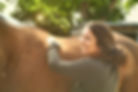 saddle fitter