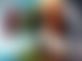 Transition Phase – Here We Go!