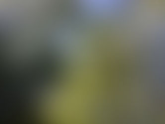 2018年10月の日記