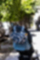 Diset.Media-13.jpg