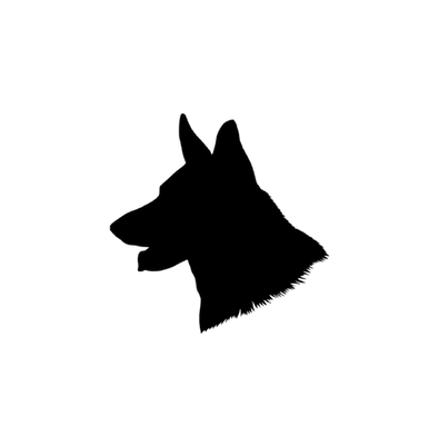 BackgroundEraser_20231223_174544537 (1)_