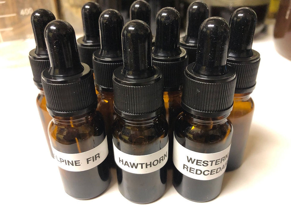 Plant Medicine Series Tincture Packet