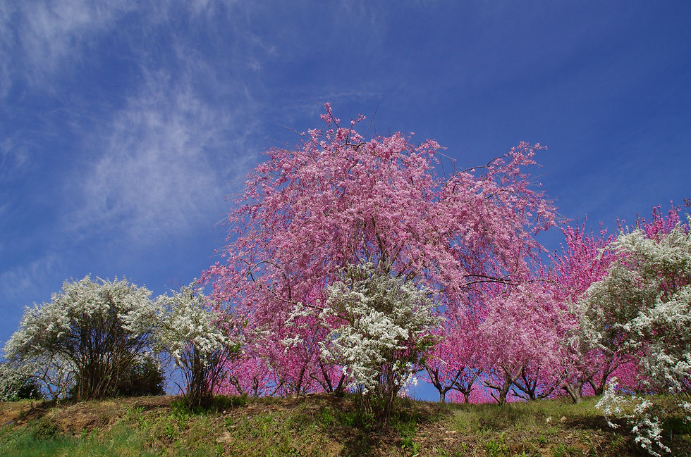 4月