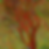 Oak Tree PRINT