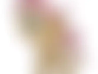  Fluttershy Funrise 12" Plushie