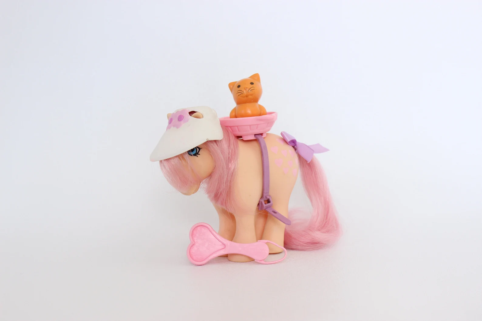 Peachy carrying Twinkles in front of a white background