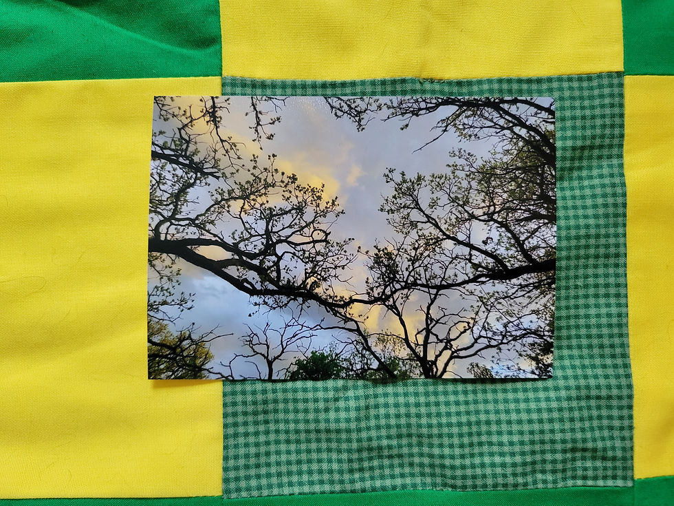 Thumbnail: Trees Holding Hands PRINT