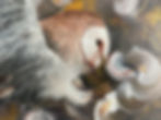 Thumbnail: In between