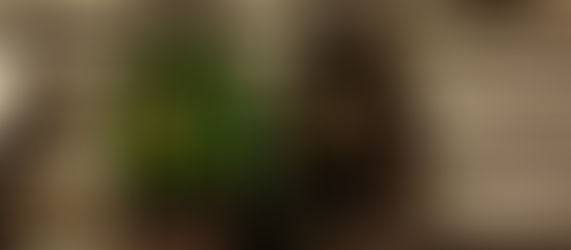 Ei tipaton vaan alkoholiton