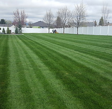 20170421_111018[1].jpg