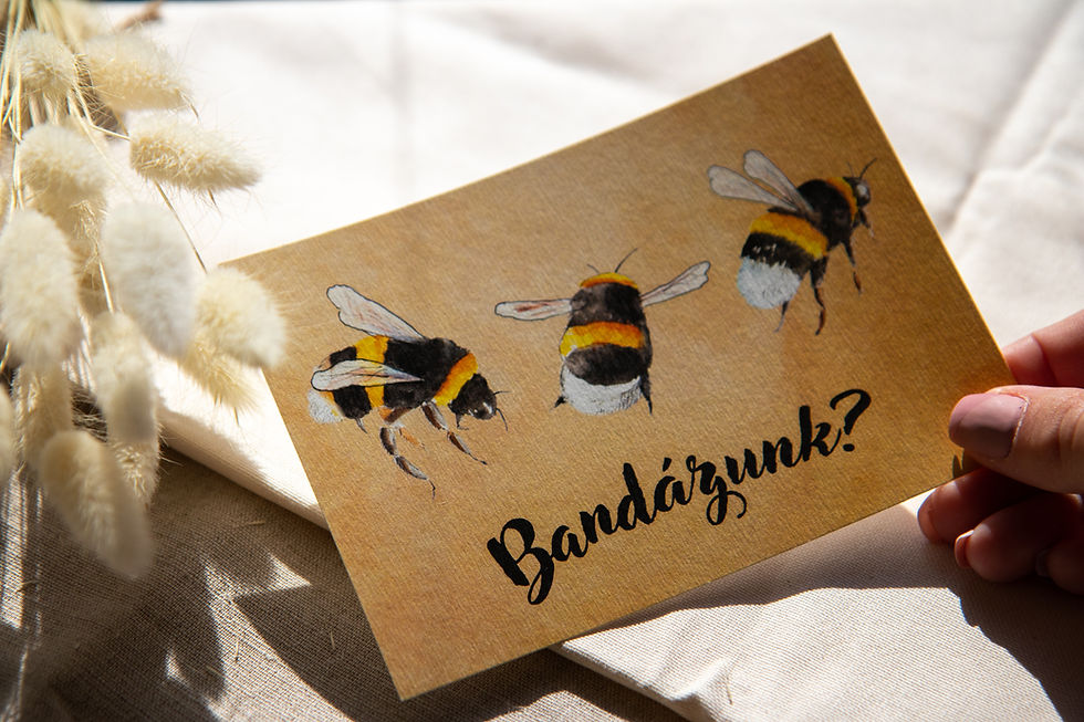 Indexkép: "Bandázunk?" print