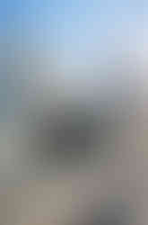 5L4A3409_final_nograin.jpg