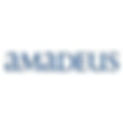 AMADEUS : LE GÉANT PEUT-IL ENCORE ÊTRE ARRÊTÉ ?... OU SOMMES-NOUS À L'APOGÉE D'UN EMPIRE ?