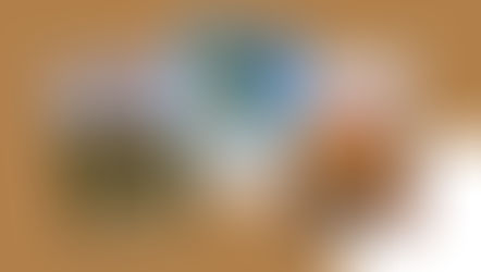 LIVE TO TRAVEL. Et si vous découvriez le Kenya... en version 100% francophone ?