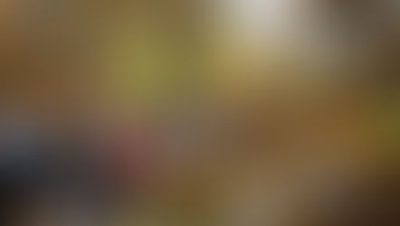 Keukenhof : vitrine florale… ou symptôme discret de surtourisme ?