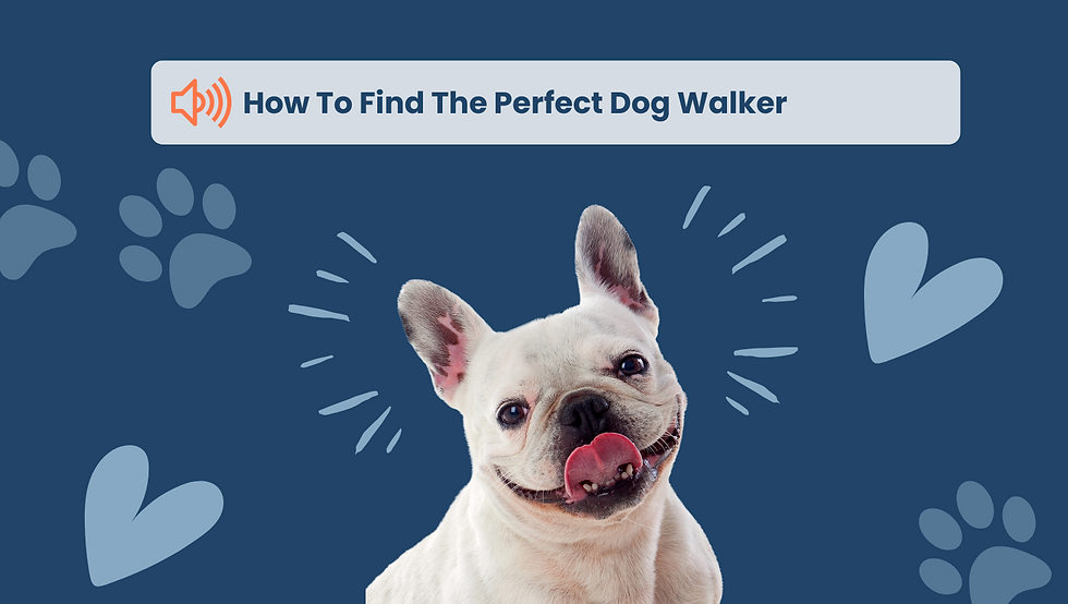 Smiling French Bulldog with tongue out, on blue background with paw prints and hearts. Text: "How To Find The Perfect Dog Walker".