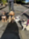 6aee099c-7187-44ad-ae08-6adbb7aa13ca.jpg