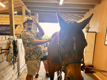 June's Newsletter: Straight from the Horse's Mouth