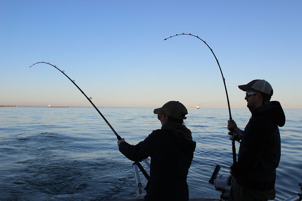 Angling for salmon