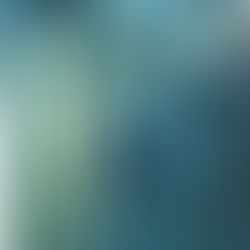 The Tragic Fate of Picasso’s Best Friend Carlos Casagemas: A Story of Love, Art, and Despair