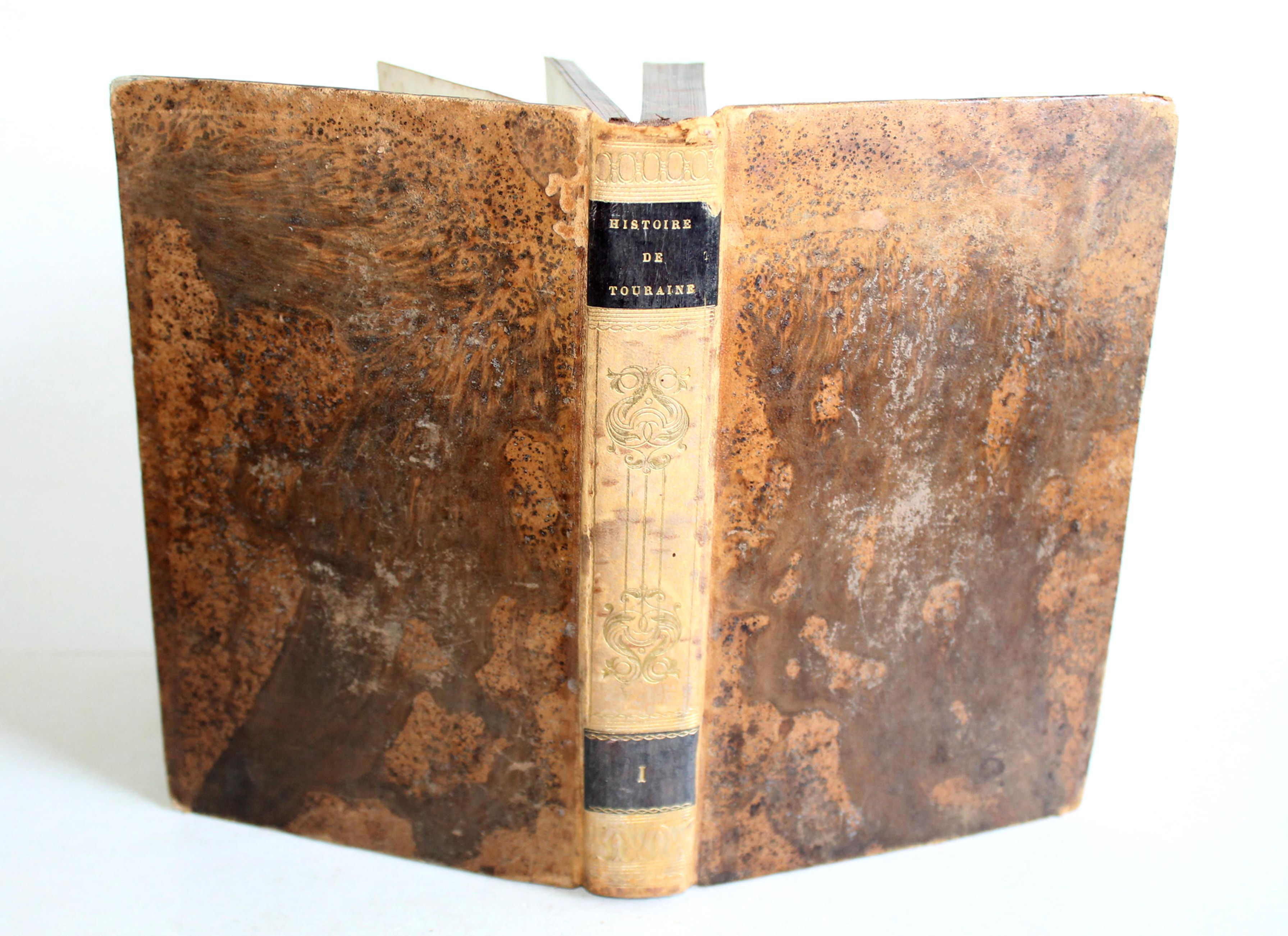 HISTOIRE DE TOURAINE DE LA CONQUETE DES GAULES PAR LES ROMAINS par CHALMEL 1828