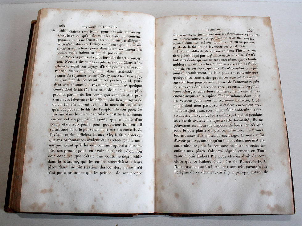 Миниатюра: HISTOIRE DE TOURAINE DE LA CONQUETE DES GAULES PAR LES ROMAINS par CHALMEL 1828