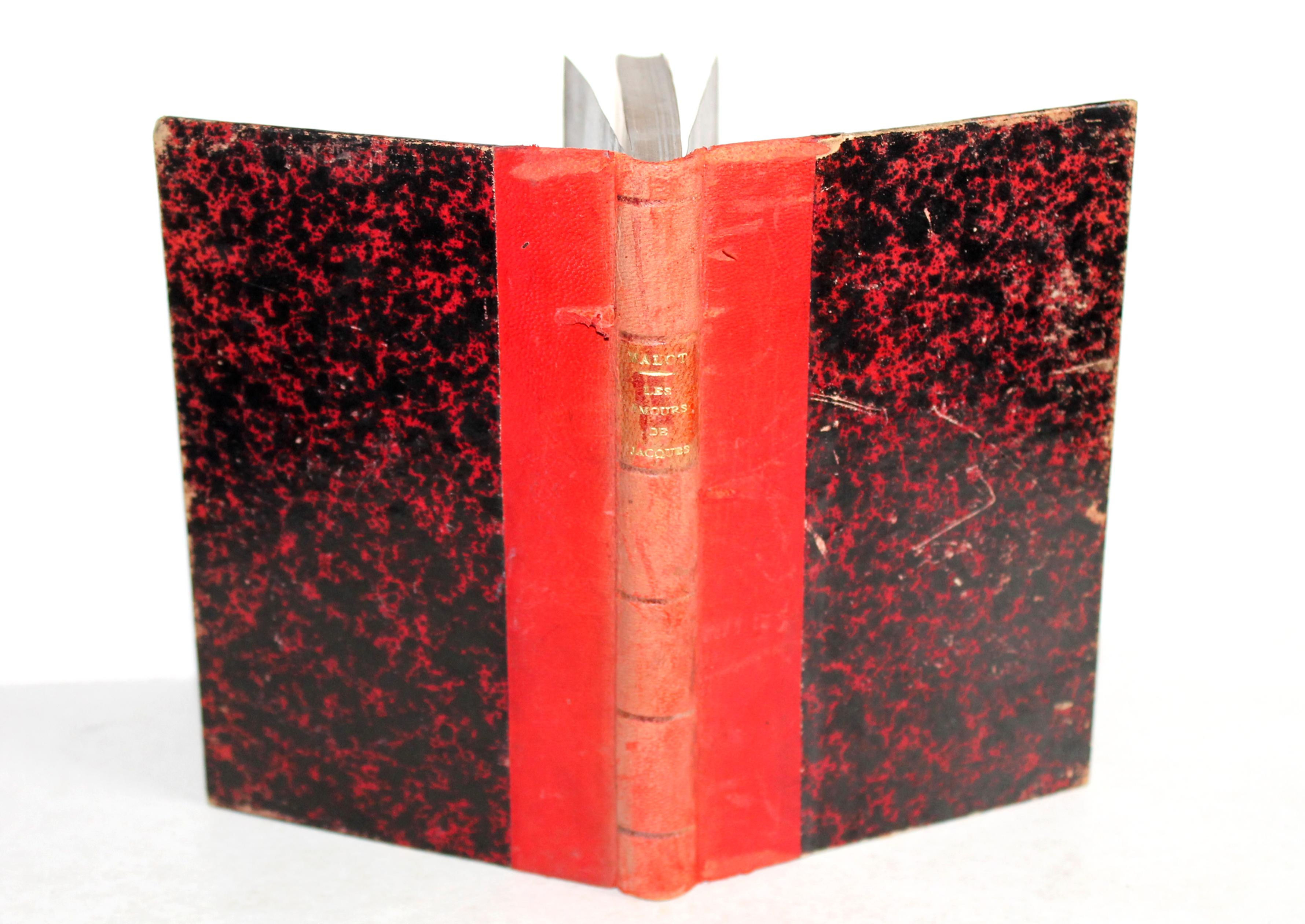 LES AMOURS DE JACQUES par HECTOR MALOT MARPON ET FLAMMARION EDITEURS, LIVRE XIXe