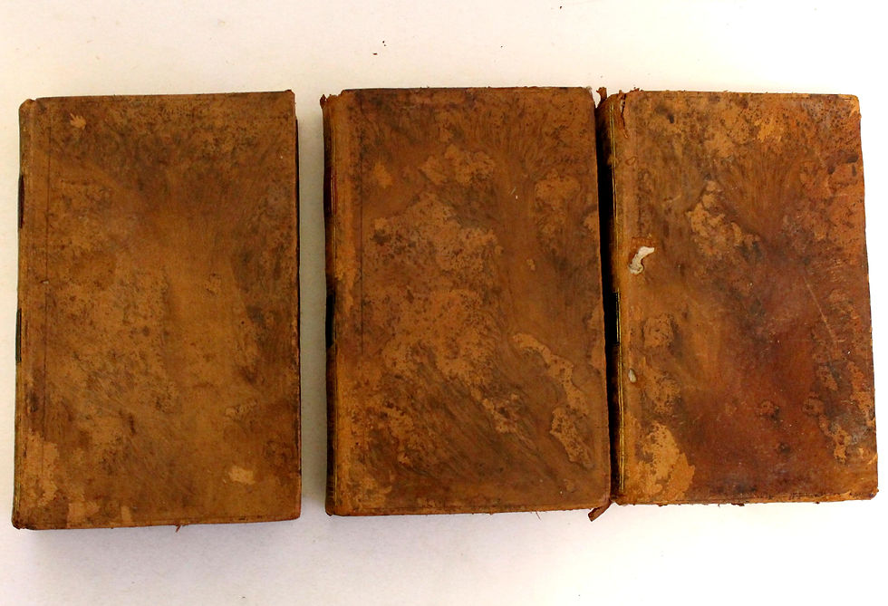 Miniaturebillede: DICTIONNAIRE DE L'INDUSTRIE PROCEDE UTILE DANS LES SCIENCES ET LES ARTS 1801 3T.
