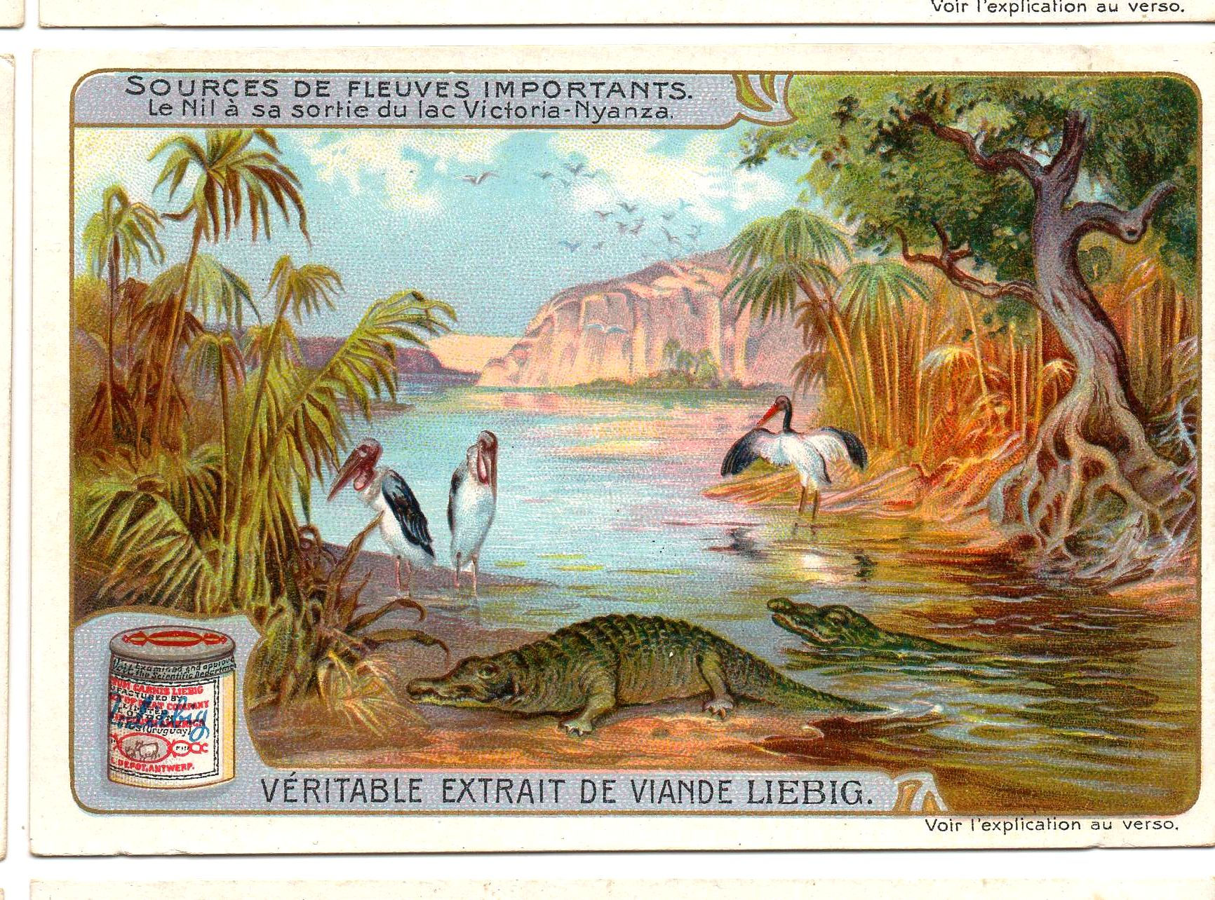 S945 - CHROMO LIEBIG DOREE / DORURE - 1908 - " SOURCES DE FLEUVES IMPORTANTS ":