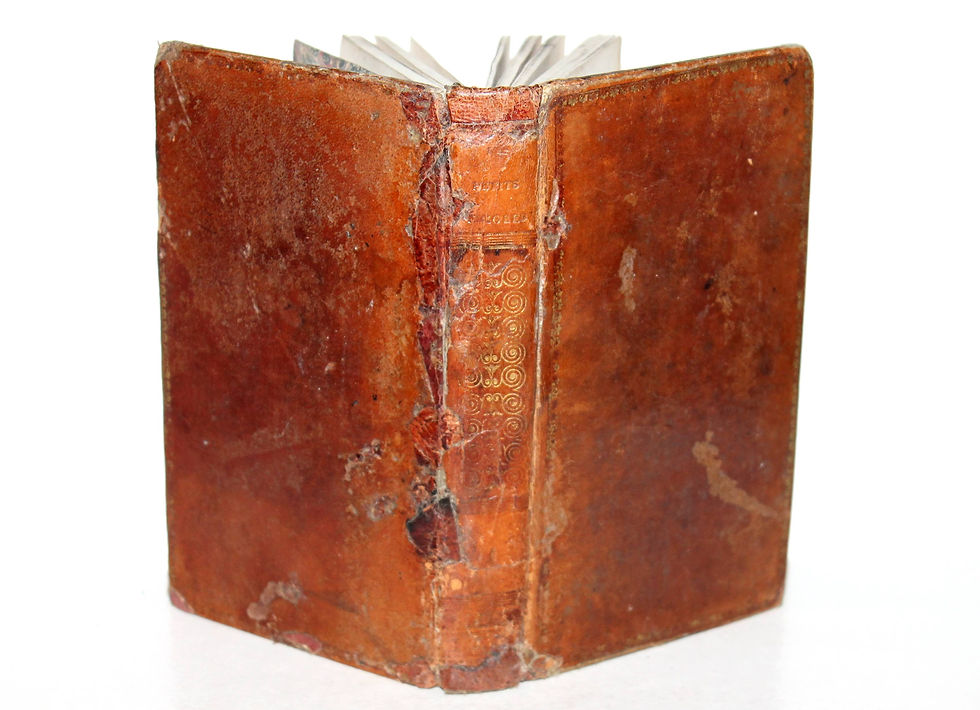 LES PETITS EMIGRES OU CORRESPONDANCE DE QUELQUES ENFANTS DE GENLIS 1828 LECOINTE