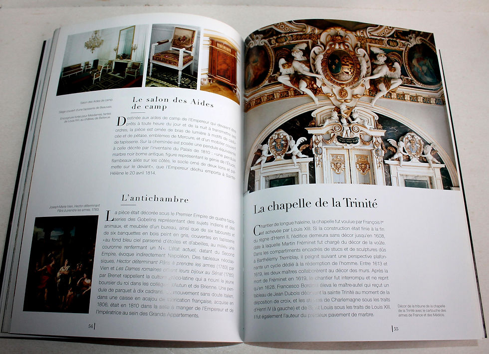 Thumbnail: CHATEAU DE FONTAINEBLEAU VRAIE DEMEURE DES ROIS, MAISON DES SIECLES, SALMON 2011
