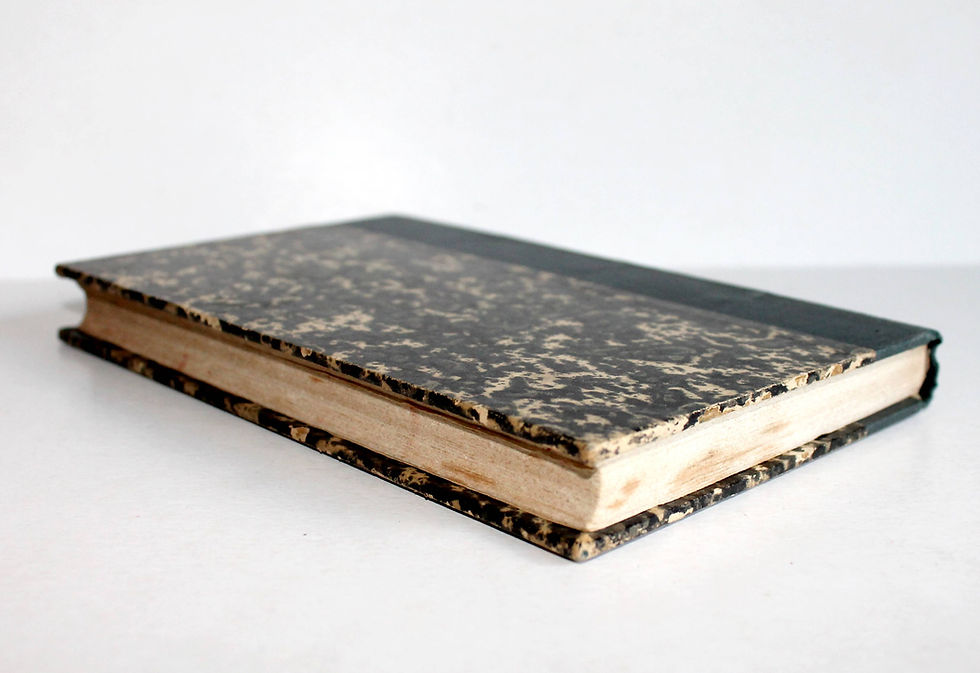Miniatura: LE DOCTEUR SERVANS par ALEXANDRE DUMAS FILS 1872 MICHEL LEVY - NOUVELLE EDITION