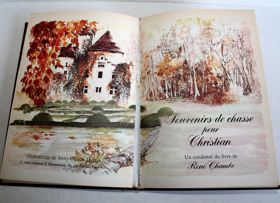 Миниатюра: AIRPORT, SOUVENIR DE CHASSE POUR CHRISTIAN, LE TEMPS, PETIT COIN BIEN TRANQUILLE