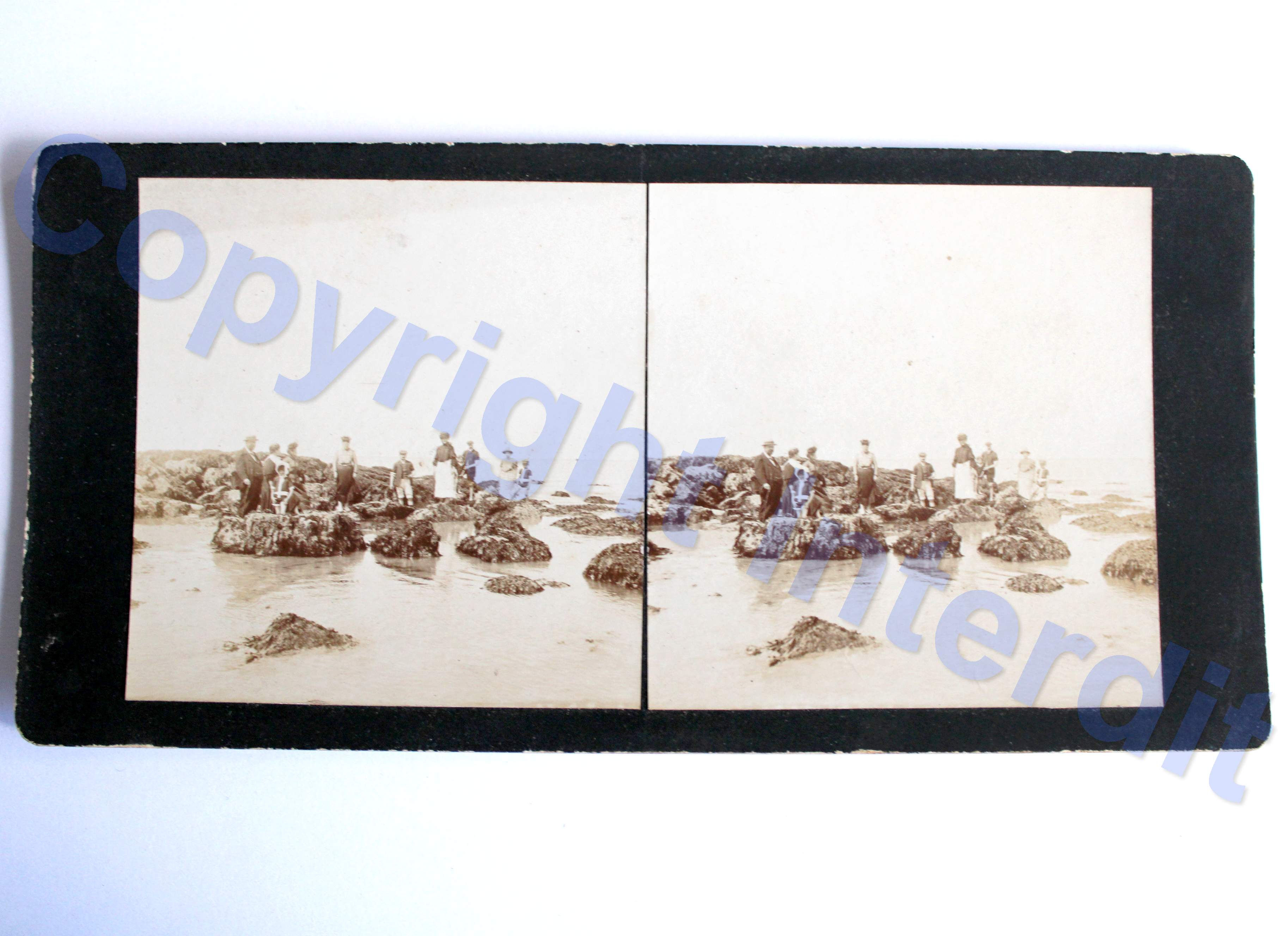ANCIEN PHOTO VUE STEREO ALBUMINE FAMILLE MER CAP GRIS NEZ PECHE AUX MOULES, XIXe