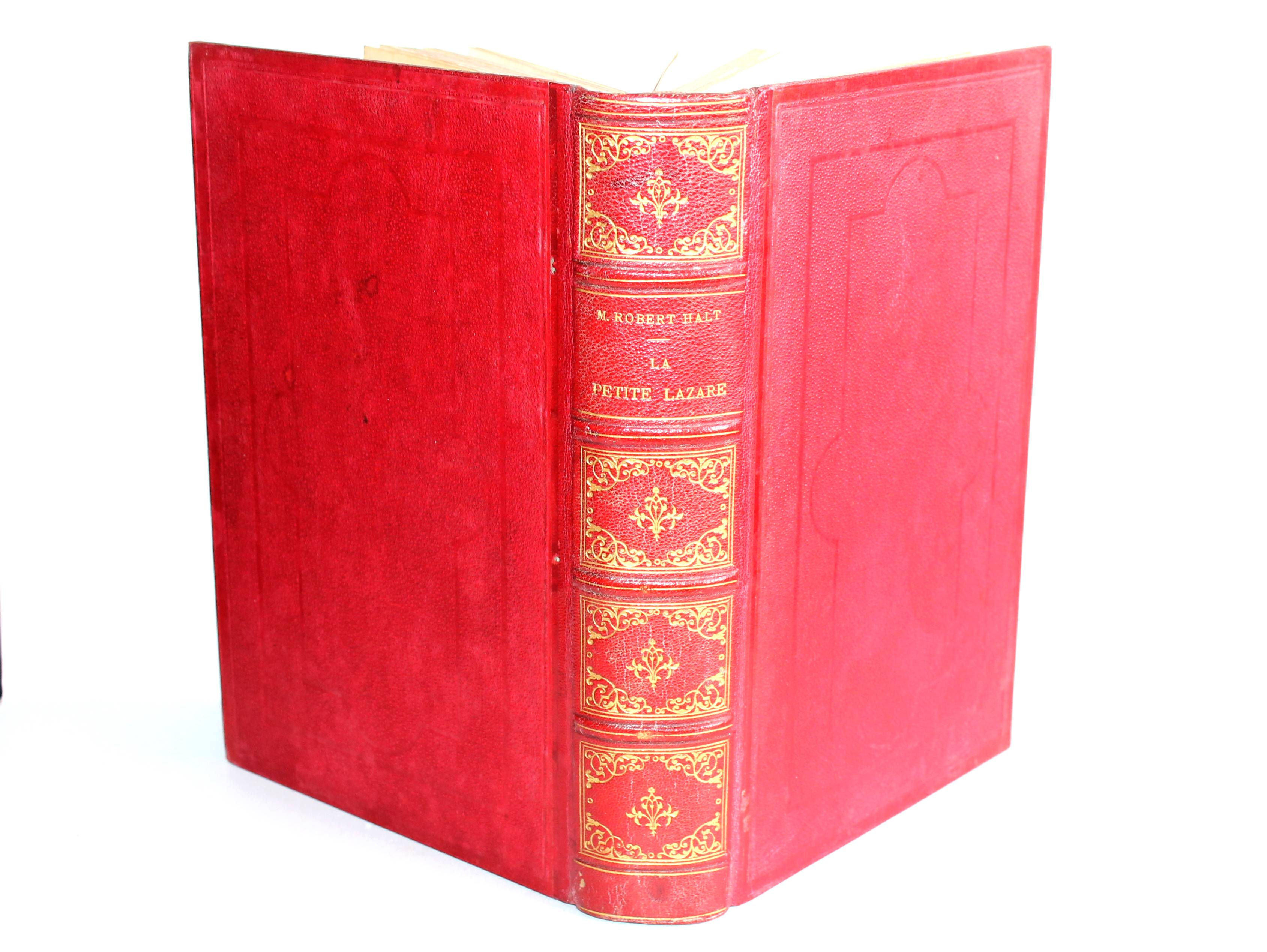 LA PETITE LAZARE de MARIE ROBERT HALT ILLUSTRATION de GILBERT, MARPON FLAMMARION