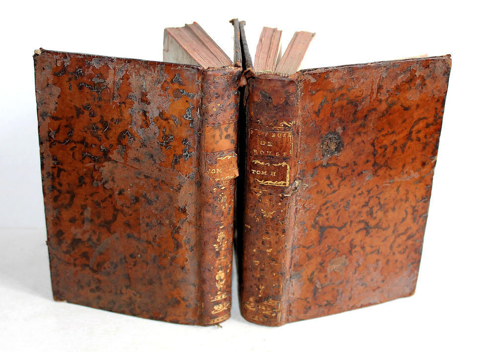 Миниатюра: PORTEFEUILLE DE J.B. ROUSSEAU 1751 MARC MICHEL, THEATRE COMPLET TOME 1 + 2 SUR 2