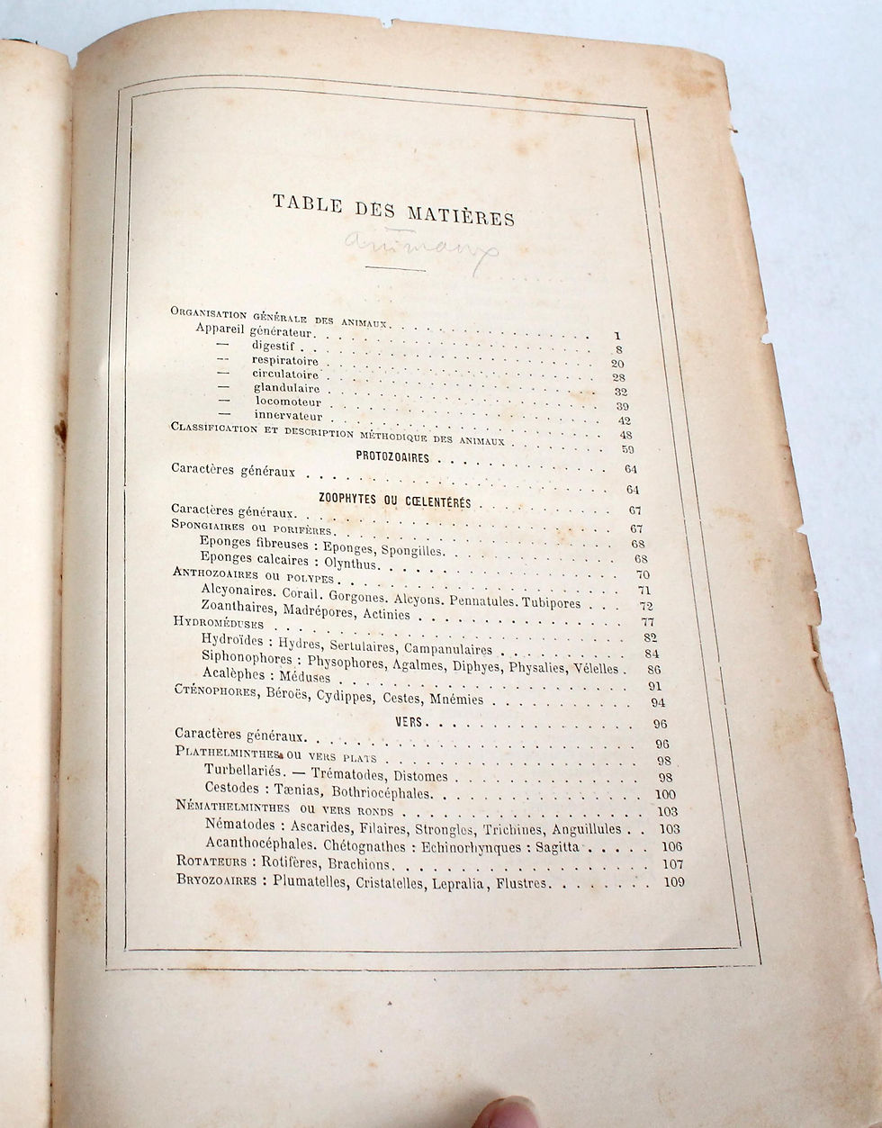Pikkukuva: LA CREATION NATURELLE ET ETRES VIVANTS HISTOIRE MONDE TERRESTRE par RENGADE 1885