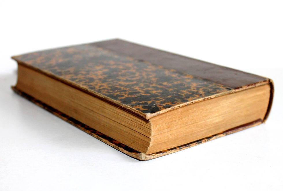 Miniaturbild: LE JOURNAL DE LA BELLE MEUNIERE LE GENERAL BOULANGER ET SON AMIE VECU 1895 DENTU