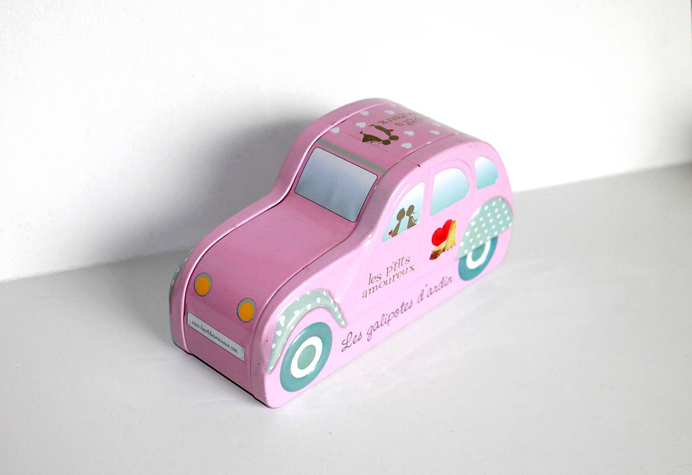 JOLIE BOITE METAL / TOLE VOITURE 2CV LES P'TITS AMOUREUX LES GALIPOTES 20x7x10cm