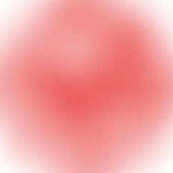 二零二二年肖雞運程