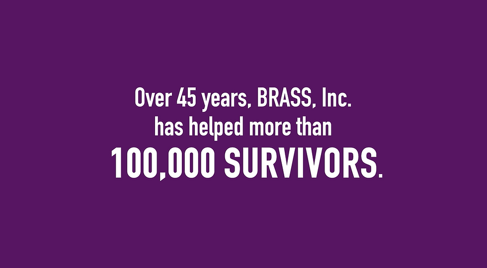 Comprehensive Support Resources at BRASS., Inc. for Survivors of Domestic Violence