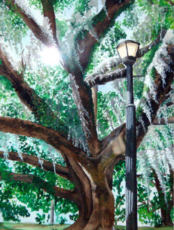 Oak Tree
