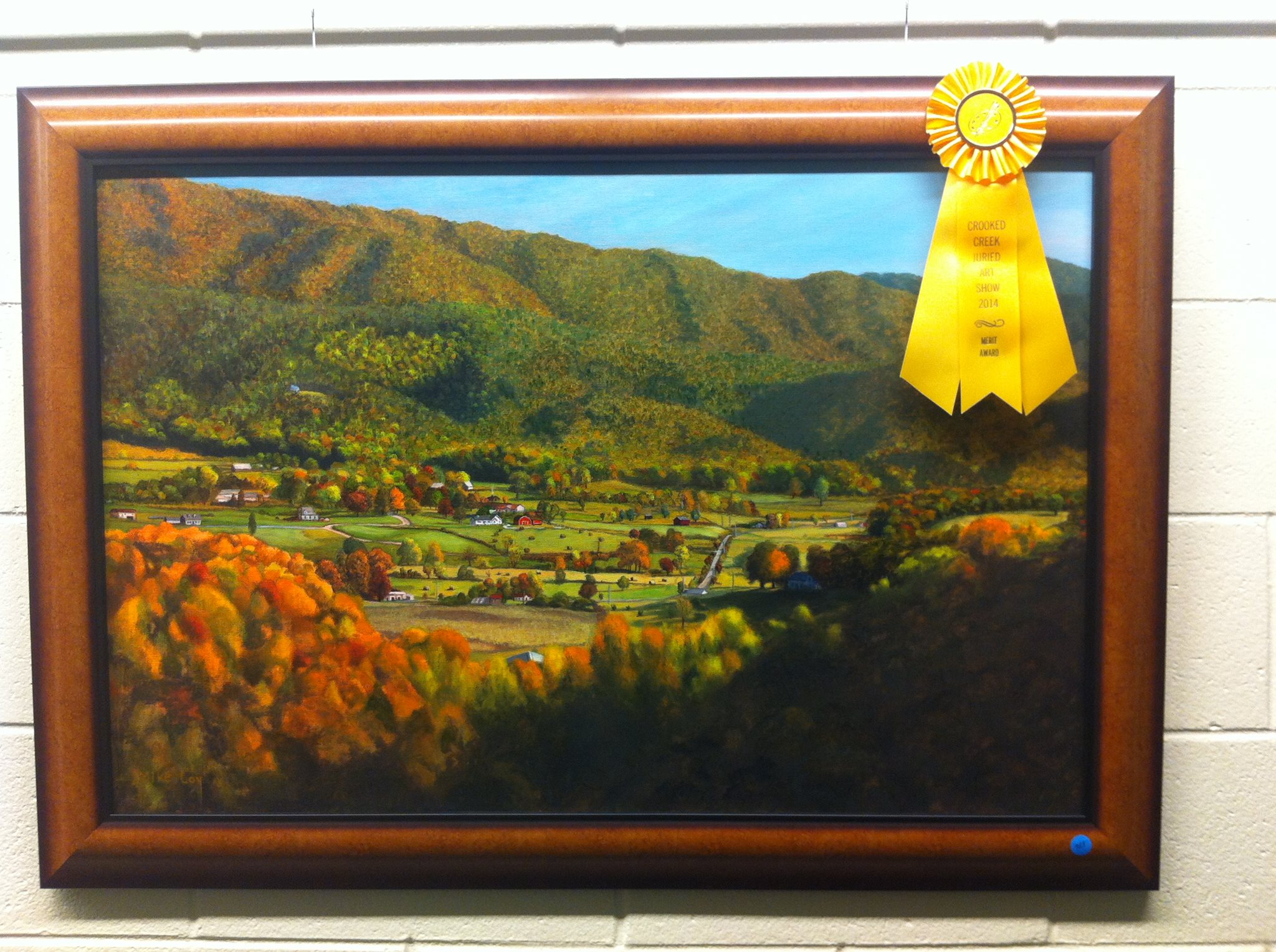2014 Merit Award Winner Professional