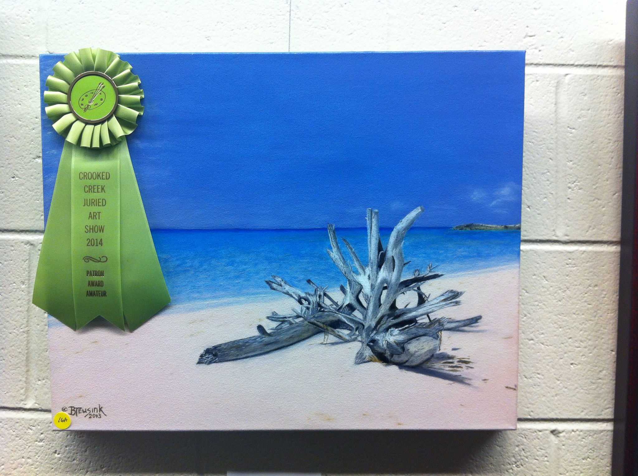 2014 Patron Award Amateur