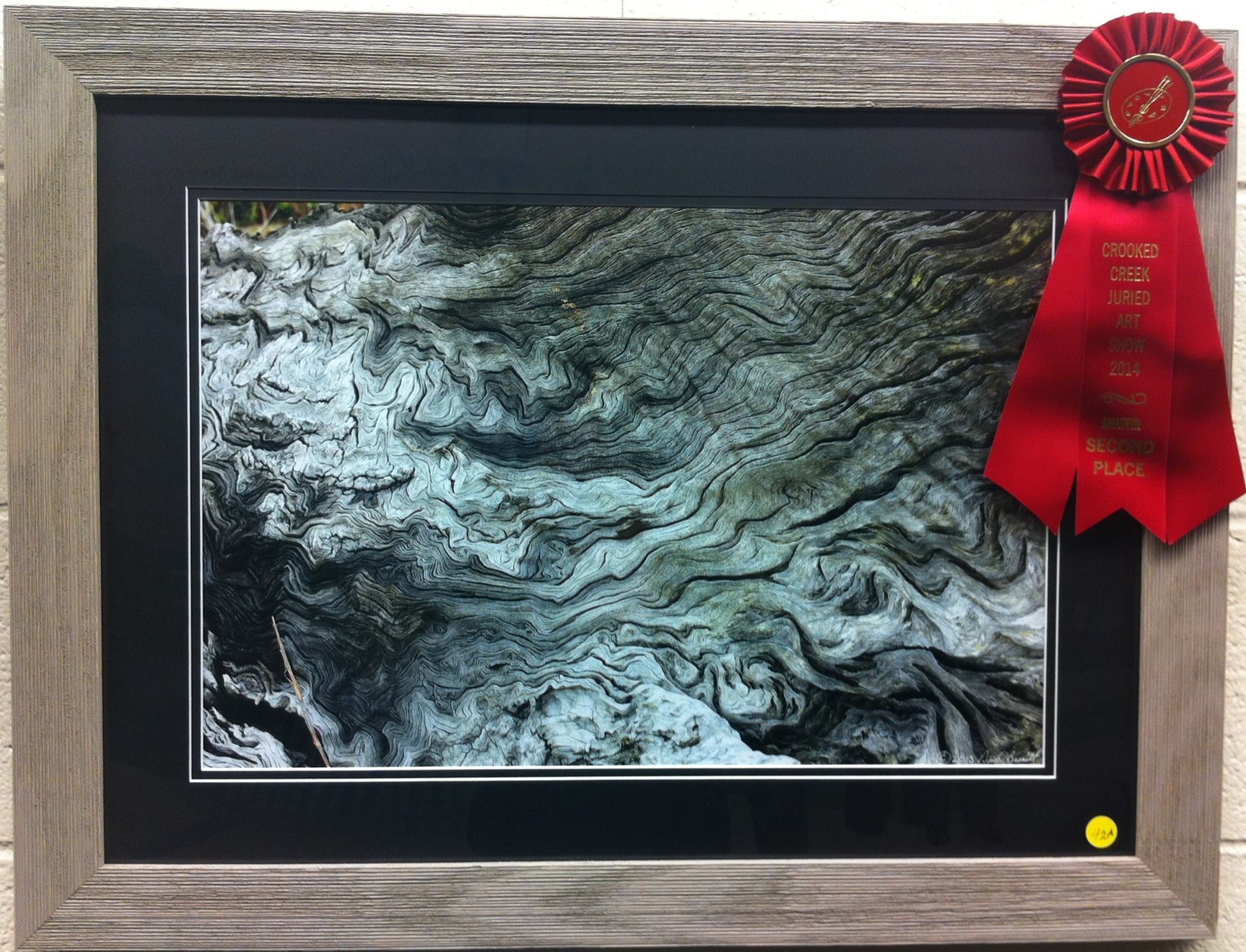 2014 2nd Place Amateur