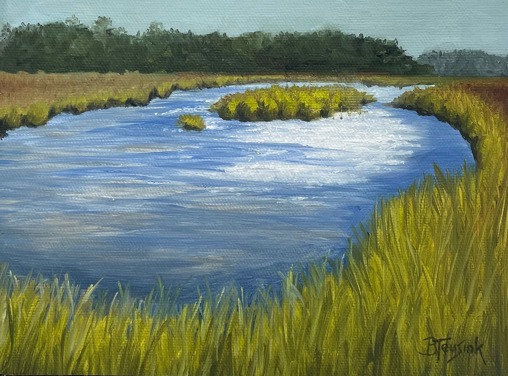 Reflective Marsh