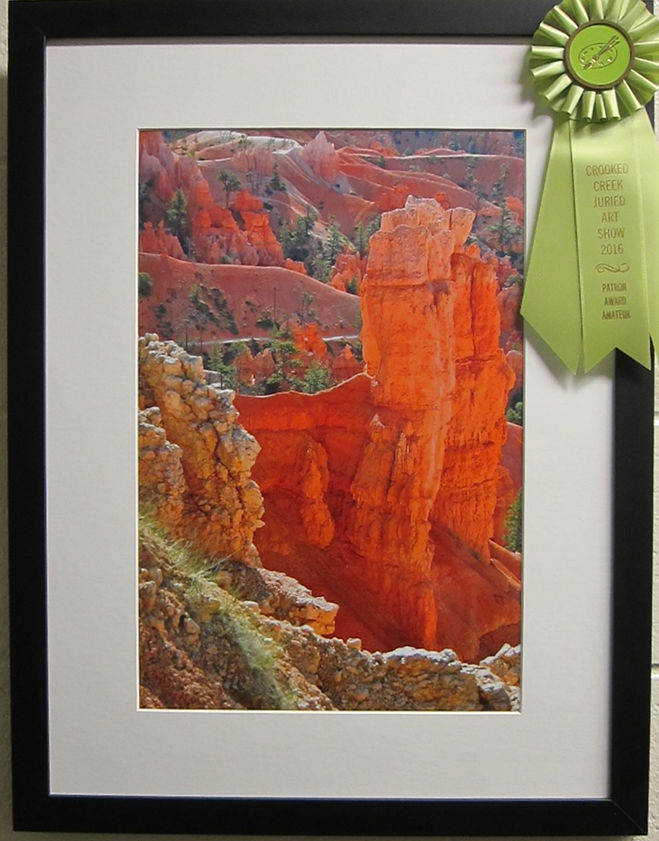 2016 Patron Award Amateur