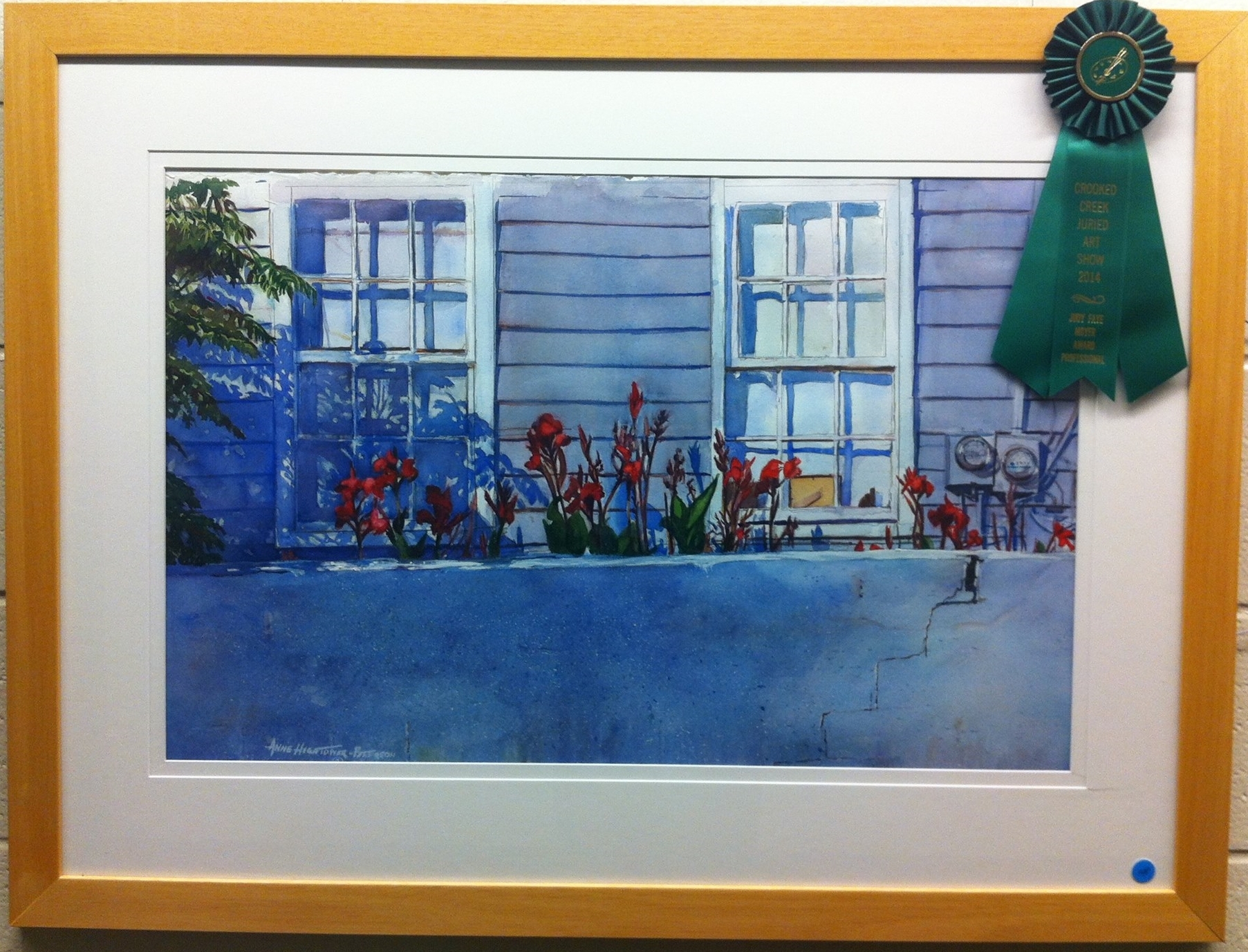 2014 Judy Faye Moyer Award Professio