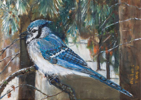 TAP Gallery Display Cabinet: Jan-Feb 2020