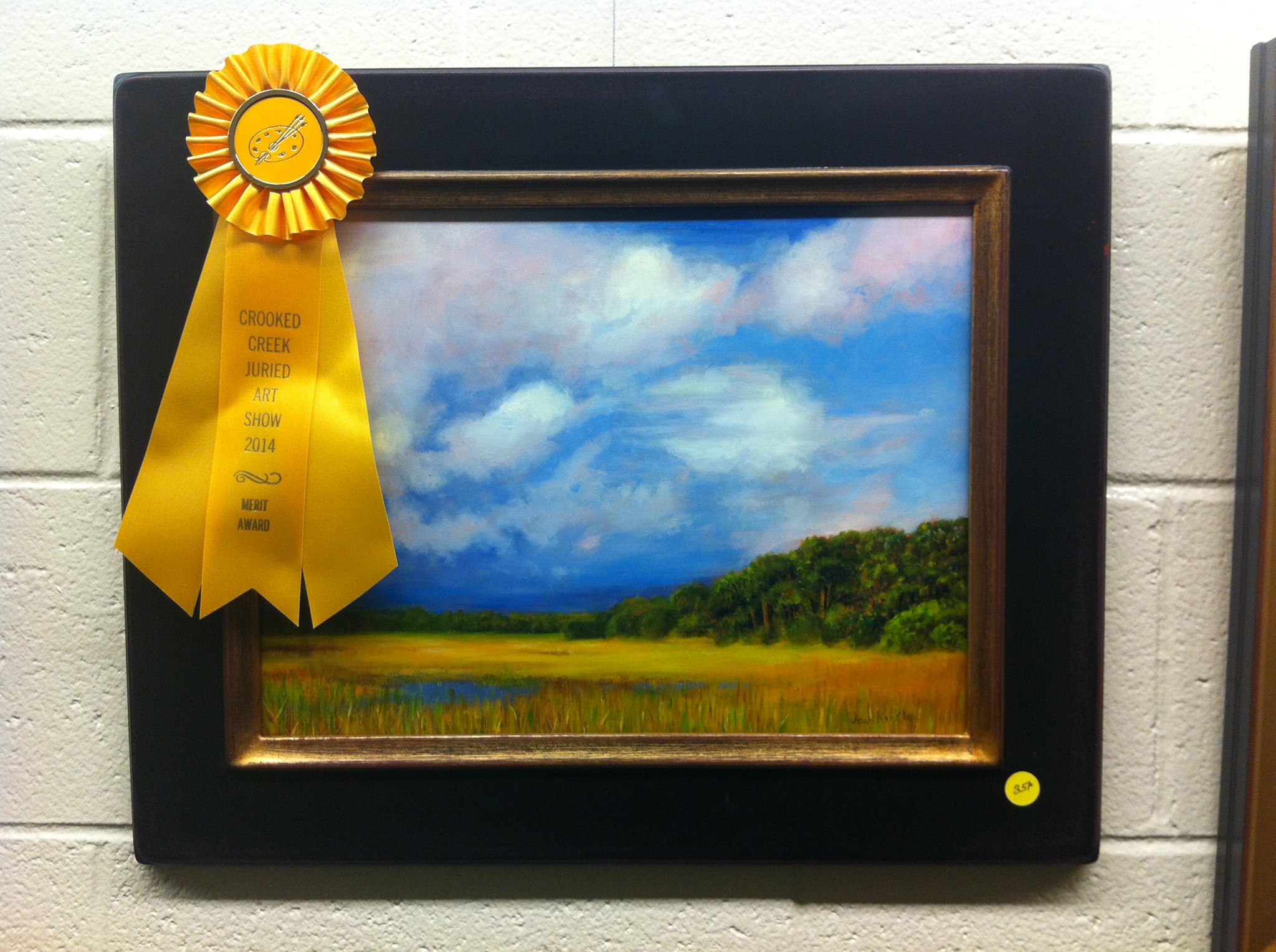 2014 Merit Award Winner Amateur